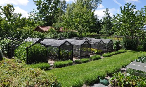 Omlgning af kkkenhave