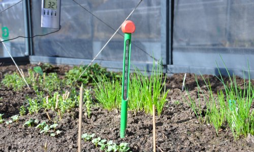 Valg af de rigtige planter til dit klima