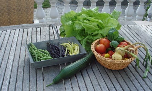 De 5 bedste flerrige grntsager til din have