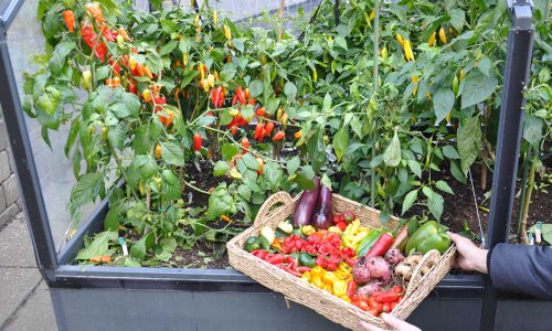 Vertikal havearbejde til sm� rum