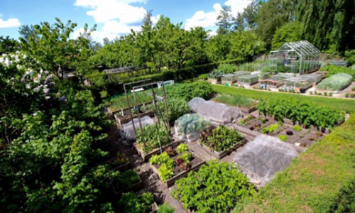 Welcome to �ben Havel�ge