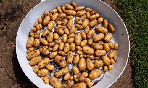 Is there anything below?