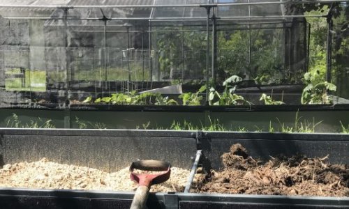 Too late for sowing? Welcome to the club!