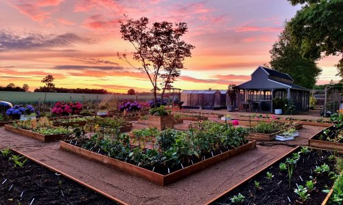 Velkommen til vores lille univers