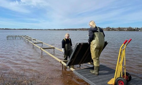 En badebro der passer til dig og dine behov!