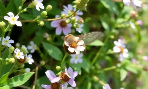 Skabelse af en best�vervenlig have