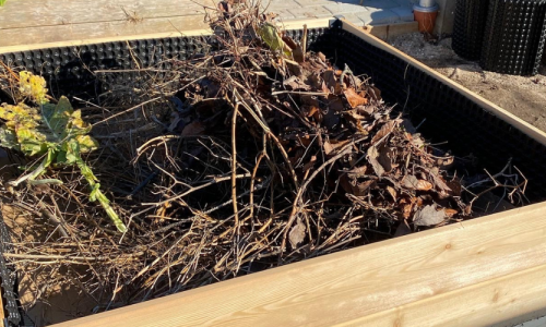 Expansion of the kitchen garden