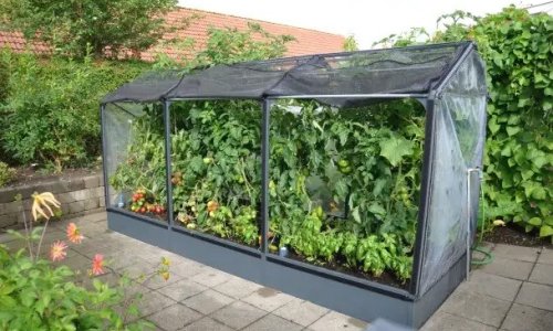 Forlng levetiden p dit drivhus med plast: Tips og tricks
