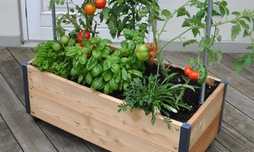 Opdag de ultimative plantekasser til din udendrs oase