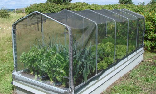 The story of GrowCamp 