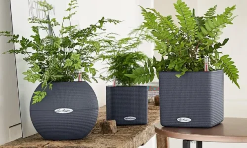 Opdag selvvandingspotter: Den nemme vej til sundere planter