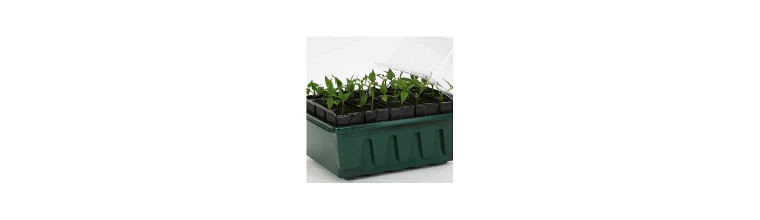 GrowCamp tunnel til st�rkere planter og l�ngere s�son