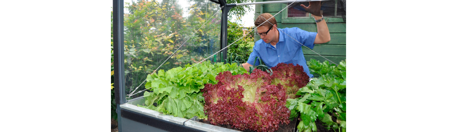 So lettuce for the winter in your GrowCamp now