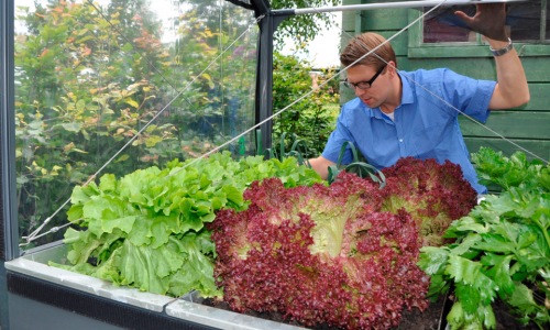So lettuce for the winter in your GrowCamp now