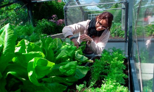 Hvorfor v�lge en GrowCamp &rarr; Guide 2023