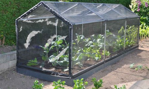 TUNNEL for covering raised beds