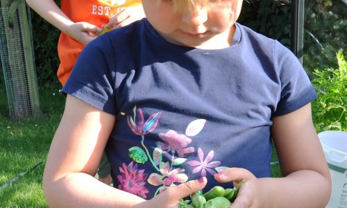 S er der RTER - grnt slik!