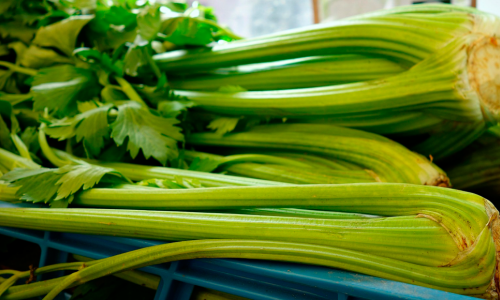 Celery leaves