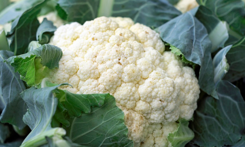 Cauliflower