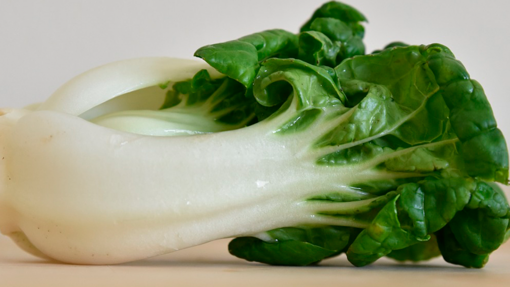 Pak-choi