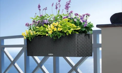 Blomsterkrukke udendrs: Skab din egen grnne oase