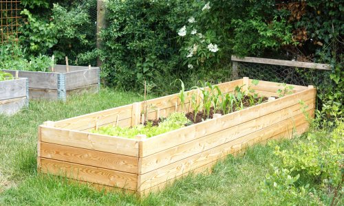 Hvilken jord skal bruges til hjbede?