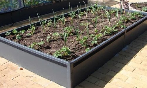 Forvandl din kkkenhave med en hjbedsramme: nem udvidelse p ingen tid