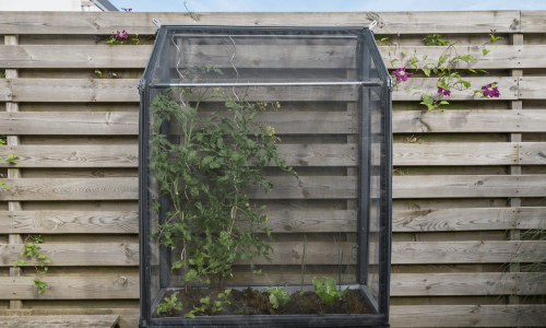 Vgdrivhus: GrowCamp Vgbed