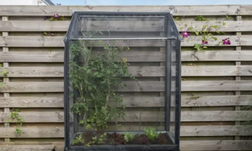 Forspiring gjort nemt med Growcamps smarte lsninger