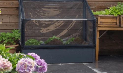 Effektiv plantebeskyttelse med insektnet: Miljvenlig og kemikaliefri lsning