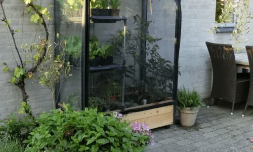 Lille drivhus eller stort drivhus: find den perfekte lsning til din have