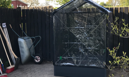 From seeds to tomato beds