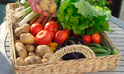 Do you need a better harvest next year?