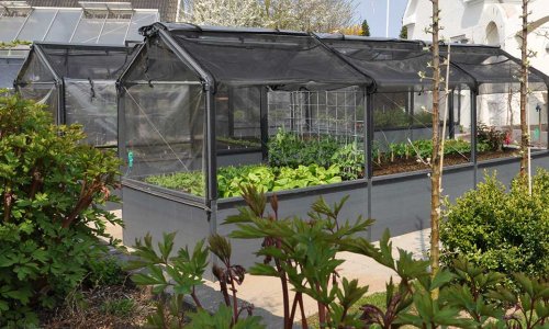 GrowCamp bed No. 50,000