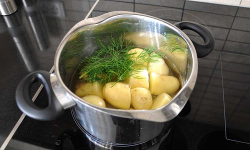 How to get extra early potatoes in a GrowCamp