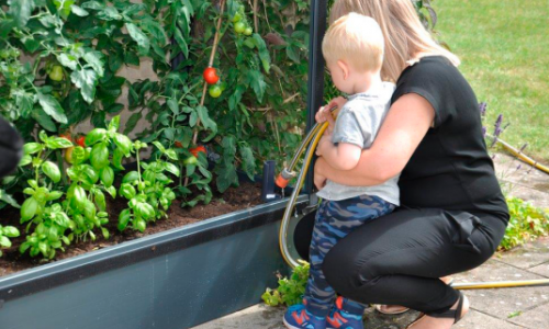 S meget vand skal planterne have