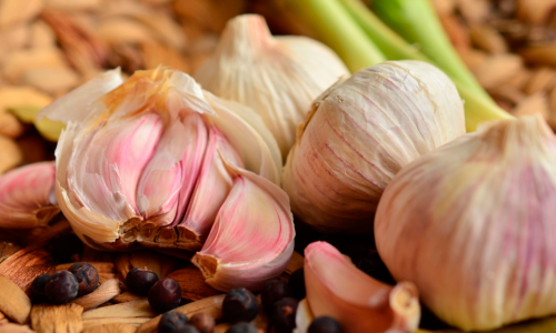 Garlic