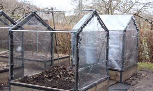 Start-up of MINI-KITCHEN GARDEN
