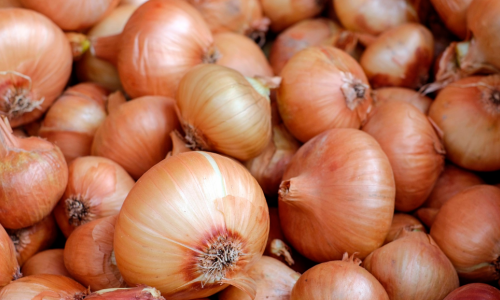 Onion / shallot - seeds