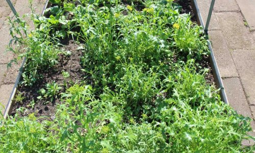 Bad planning - or the weather?