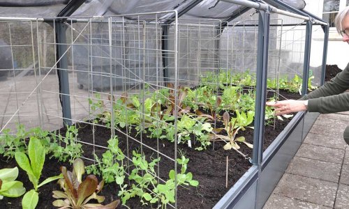 Er der mon rter nok? - og nyt krydderurtebed