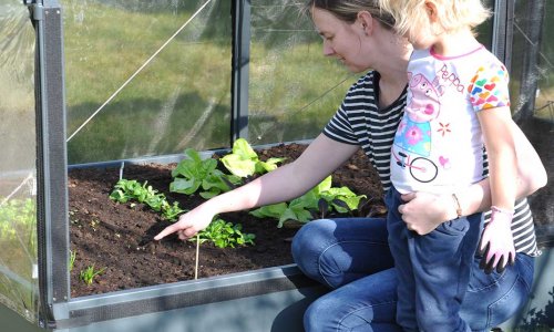 Plante rter - s gulerdder, spinat og rdbeder