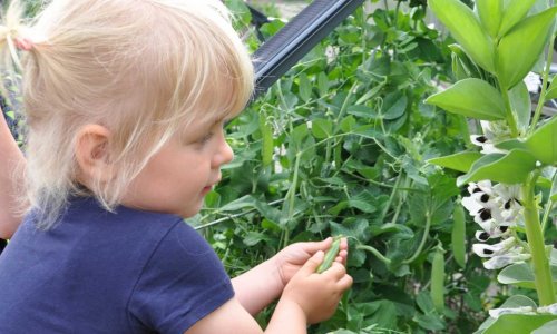 Er der RTER - ja, det er der!