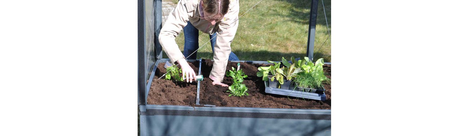 How to sow and plant