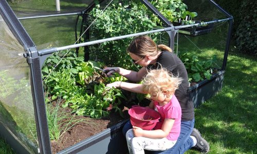 Der plantes bnner p ledig plads