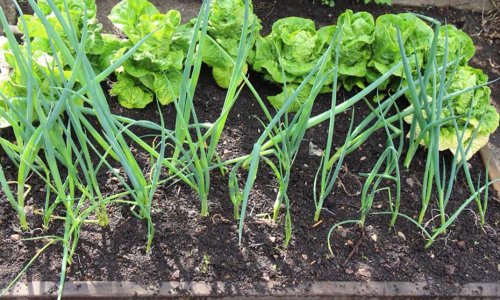 Space problems are fixed with moving