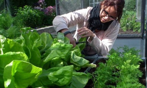 Grow your vegetables yourself