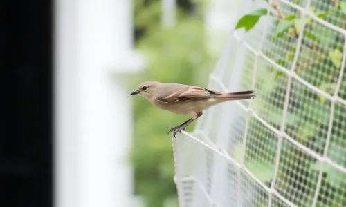 Beskyttelse mod skadedyr i h�jbed