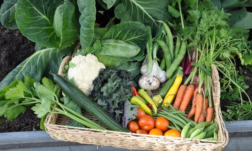 Hvad skal vi have til aften?