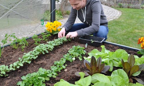 Radiserne er set for tt - tyndes ud